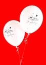 Wedding balloons