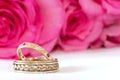 Wedding bands Royalty Free Stock Photo