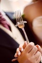 Wedding Bands On a Fork Royalty Free Stock Photo