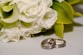 Wedding bands with white roses Royalty Free Stock Photo