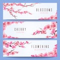 Wedding banners template with spring japan sakura, cherry blossom