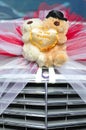 Wedding bears Royalty Free Stock Photo