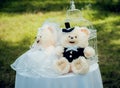 Wedding bears