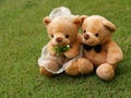 Wedding Bears on the Grass