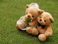 Wedding Bears on the Grass