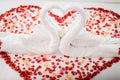 Wedding bed with fold a towel swan