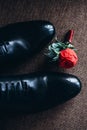 Wedding black shoes of the groom and next to it lies a boutonniere buttonhole Royalty Free Stock Photo