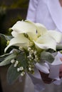 Wedding boquet Royalty Free Stock Photo