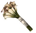 Wedding bouquet of calla flowers tied with a satin ribbon