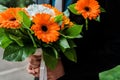 Wedding bouquet of daisies and orange gerberas in the hands of the groom. Groom`s boutonniere Royalty Free Stock Photo