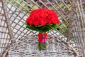 Wedding bouquet and decoration. red roses flowers on wicker furniture arm-chair. for Bride Groom. Details of wed day Royalty Free Stock Photo