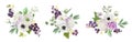 Wedding bouquet floral set. Black currant, peonies, anemones, rose flowers, berry fruits, leaves illustration
