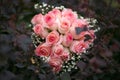 Bouquet of pink roses Royalty Free Stock Photo