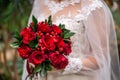 Wedding bouquet with red flowers in the hands of the bride. Bouquet with red berries and roses close-up Royalty Free Stock Photo