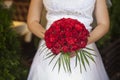 Wedding bouquet of red roses and leaves in brides hands Royalty Free Stock Photo
