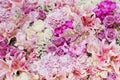 wedding bouquet with rose bush, Ranunculus asiaticus as a background