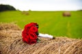 wedding bouquet on a stack of hay Royalty Free Stock Photo