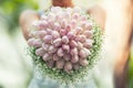 Wedding bouquet. wedding bouquet with tulips in hands of bride Royalty Free Stock Photo