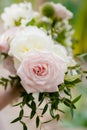 Wedding bouquet of white peony and coffee roses. Lots of greener Royalty Free Stock Photo