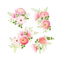 Wedding bouquets of roses, magnolia, ranunculus vector design