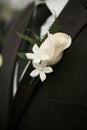 Wedding boutonniere Royalty Free Stock Photo