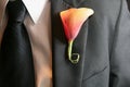 Wedding Boutonniere Royalty Free Stock Photo