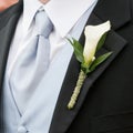 Wedding boutonniere Royalty Free Stock Photo