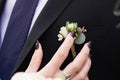 Wedding Boutonniere On Jacket Groom Elegant, Putting Small flower bouquet in the pocket Royalty Free Stock Photo