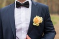 Wedding boutonniere with yellow rose on suit of groom. Groom in blue jacket, white shirt and black tie with boutonniere. Royalty Free Stock Photo