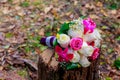 Wedding bridal bouquet of rose pink green white cotton flowers Royalty Free Stock Photo