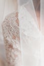 Wedding bridal veil Royalty Free Stock Photo