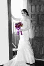 Wedding bride Royalty Free Stock Photo