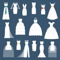 Wedding bride dress elegance style celebration vector