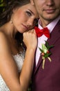 Wedding, Bride, Groom Royalty Free Stock Photo