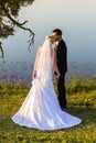 Wedding Bride Groom Romantic Kiss Royalty Free Stock Photo