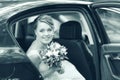 Wedding bride portrait Royalty Free Stock Photo