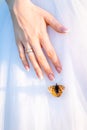 Wedding, the bride`s hand and live a natural butterfly