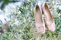 Wedding bride shoes on olive tree