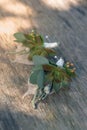 Wedding butonniere with succulent flowers, close-up. Wedding day. Royalty Free Stock Photo