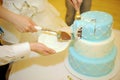 Wedding Cake Royalty Free Stock Photo