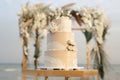 Wedding cake at a beach wedding on the background of a beautiful arch for an exit ceremony Royalty Free Stock Photo