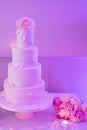 Wedding Cake Royalty Free Stock Photo