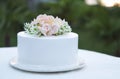 Wedding cake beautiful decorated with roses