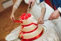 Wedding cake. The bride and groom cut the cake at the Banquet Royalty Free Stock Photo