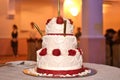 Wedding cake with candles decorated with red flowers Royalty Free Stock Photo