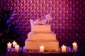 Wedding cake Royalty Free Stock Photo