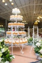 Wedding cake by cupcakes for celebration Royalty Free Stock Photo