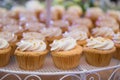Wedding cake by cupcakes for celebration Royalty Free Stock Photo