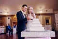 Wedding cake cutting Royalty Free Stock Photo