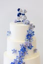 Wedding cake detail with white frosting and small blue flowers and a dutch topper - wedding cake series